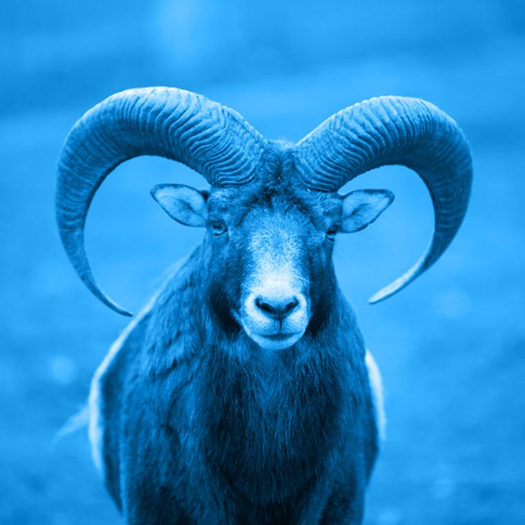 Egyéb